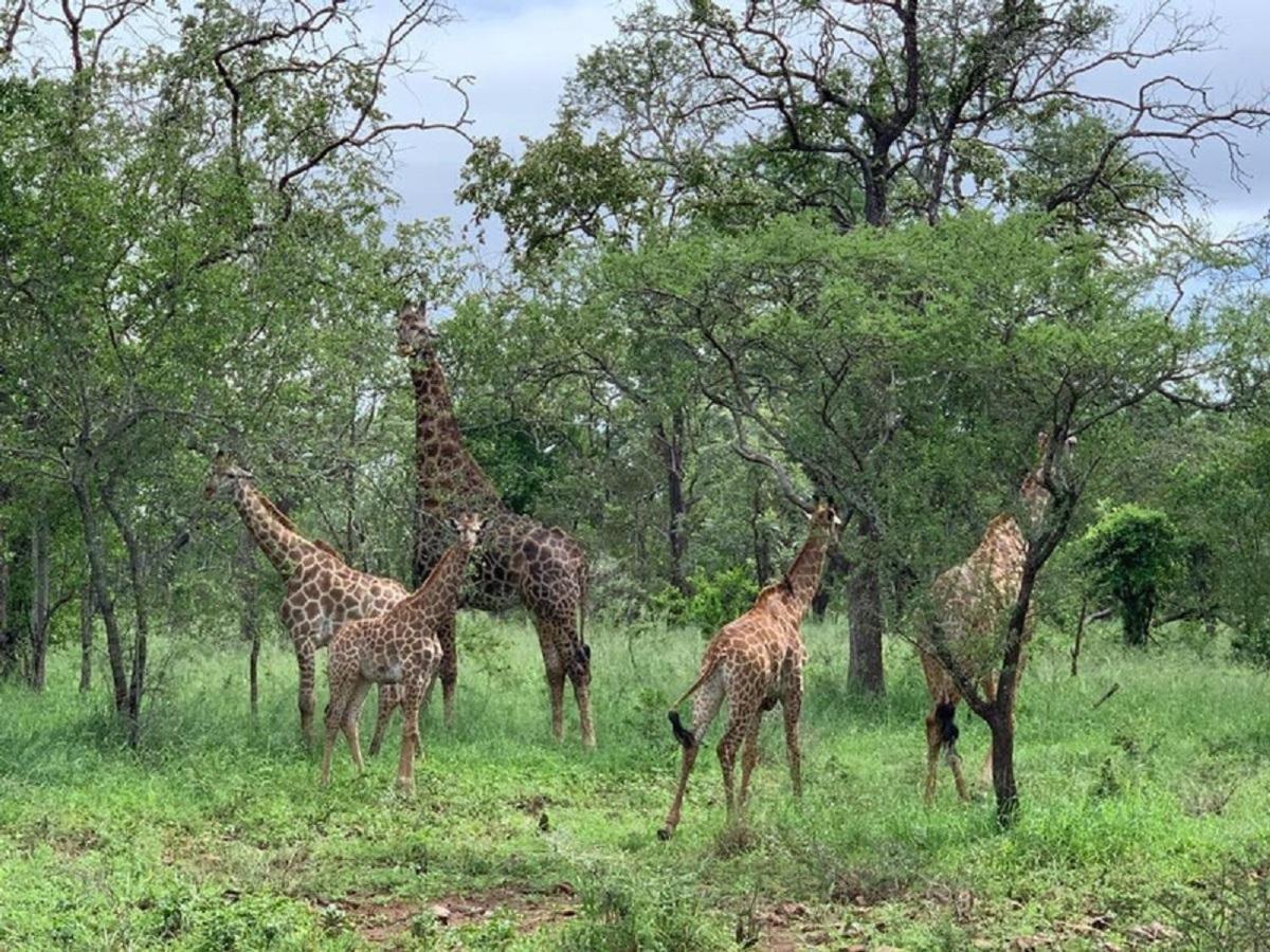 Mbuluzi Game Reserve Simunye Buitenkant foto