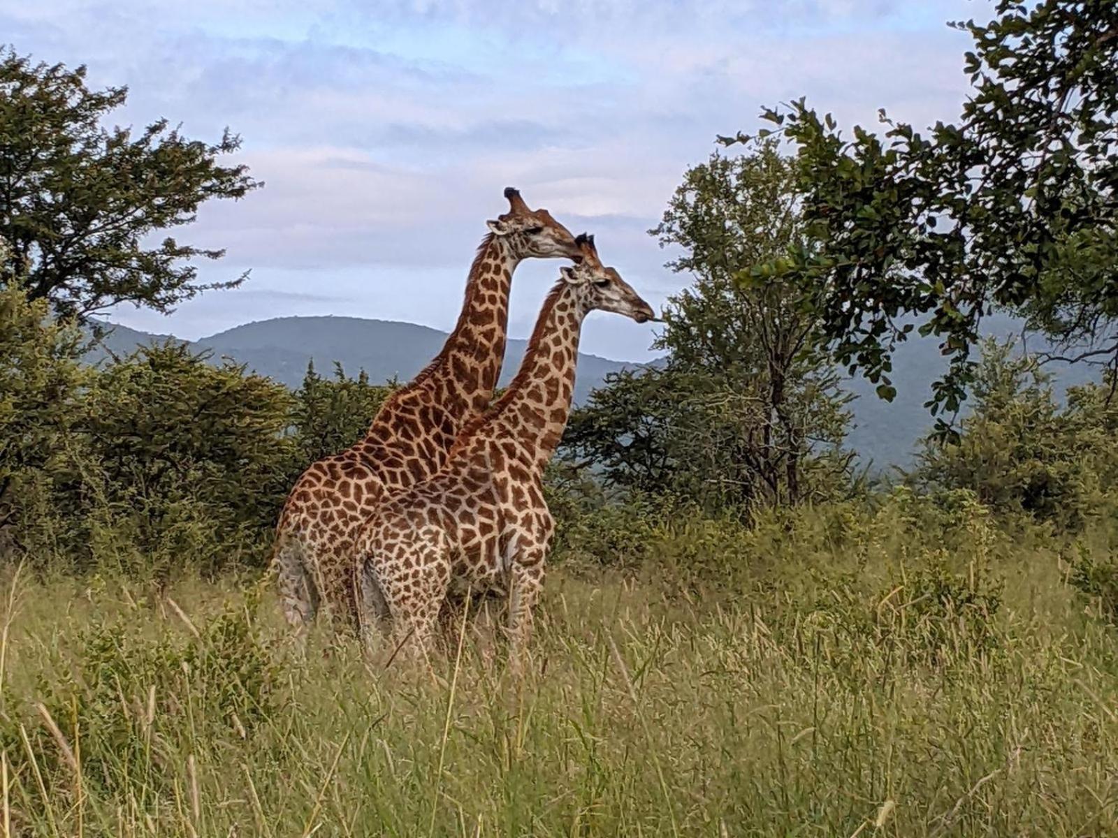 Mbuluzi Game Reserve Simunye Buitenkant foto