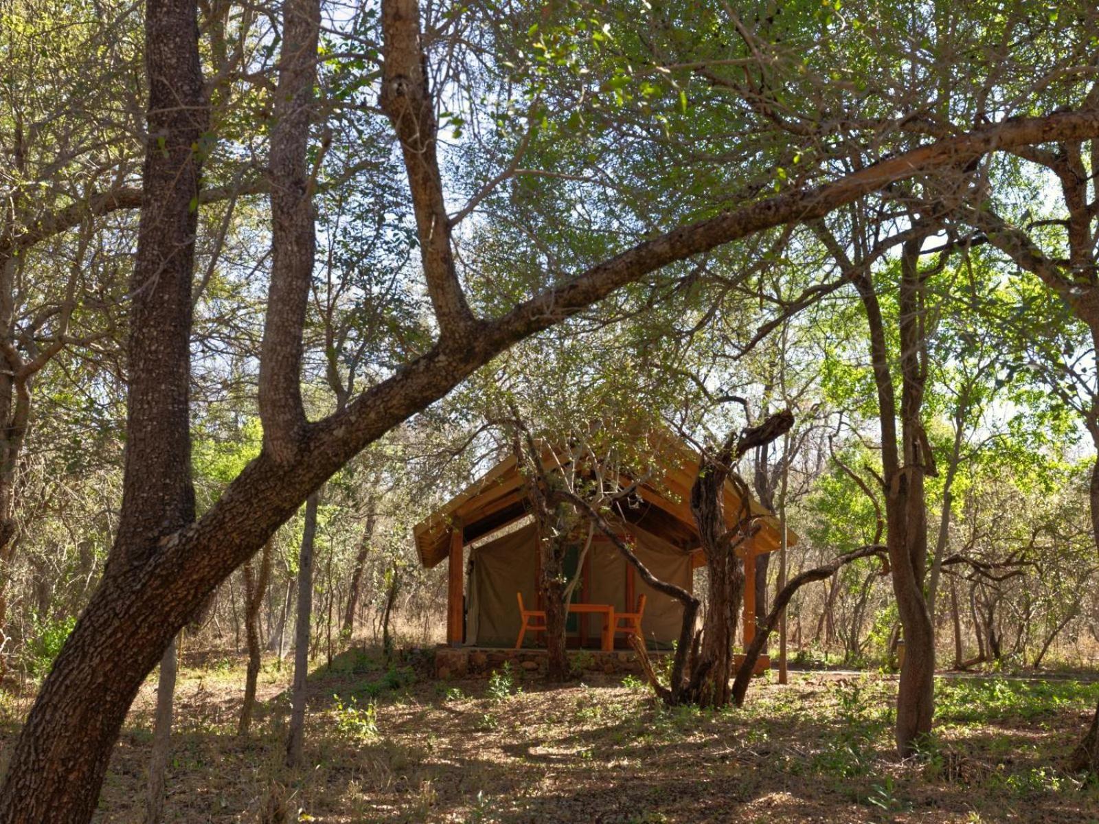 Mbuluzi Game Reserve Simunye Buitenkant foto